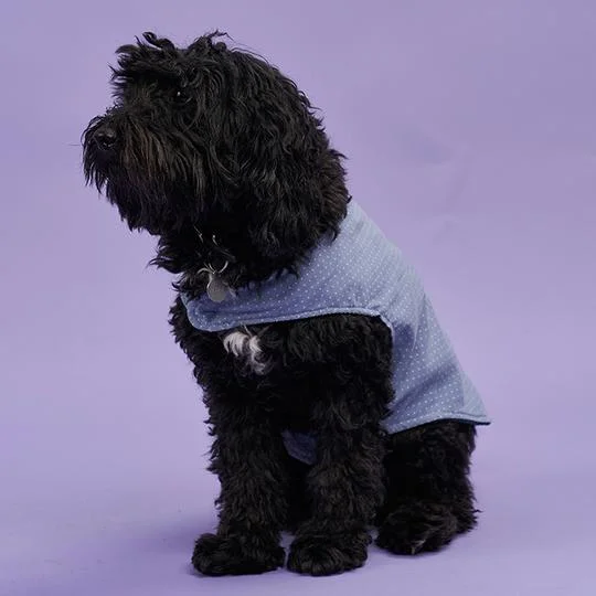 Poppy & Jazz Poppy Dog Coat - Printed copy shop (+£5.00)